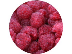 frische regionale Himbeeren direkt vom Feld - regionaler Himbeergenuss selbst gepflückt bei Erdbeeren Holzner